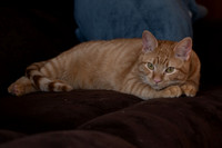 Asa and Sputnick-44.jpg