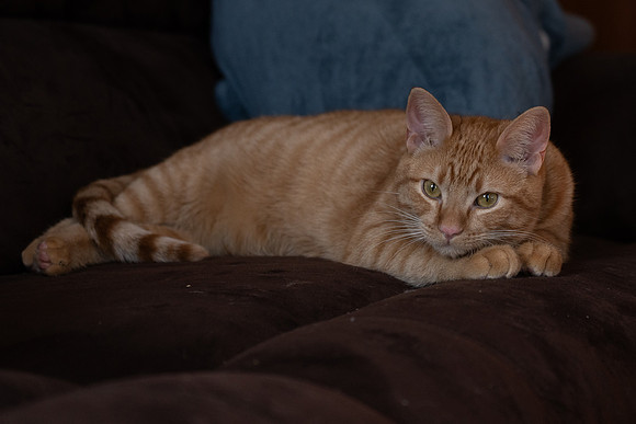 Asa and Sputnick-44.jpg
