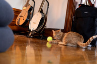 Asa and Sputnick-78.jpg