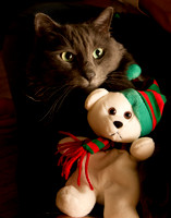 Christmas Morning