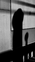 Lines and Shadows