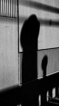 Lines and Shadows
