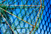 Wonder Wheel