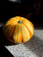 IMG_8347.jpg