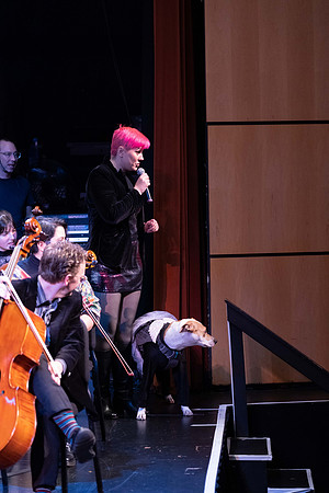 Lux Symphony a7c-6132.jpg