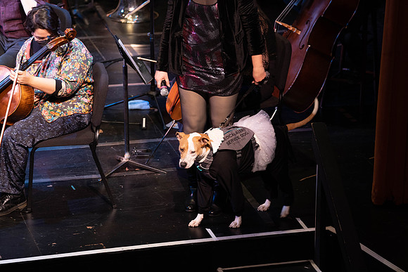 Lux Symphony a7iii-04066.jpg