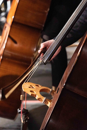 Lux Symphony a7iii-04122.jpg