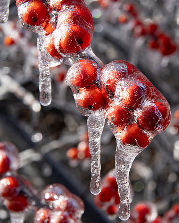 Suddenly frozen rain