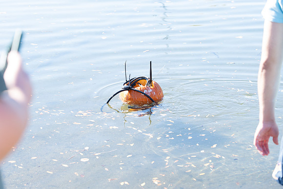 Pumpkin Boat-103.jpg
