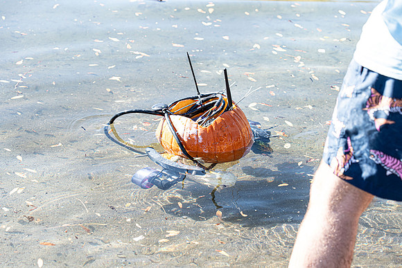 Pumpkin Boat-101.jpg