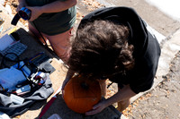 Pumpkin Boat-32.jpg