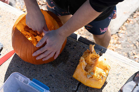 Pumpkin Boat-36.jpg