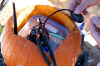 Pumpkin Boat-88.jpg