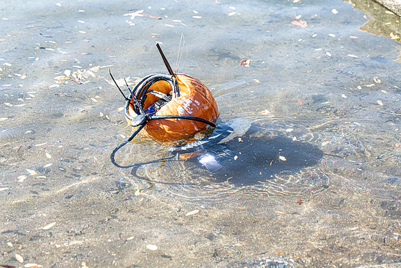 Pumpkin Boat-99.jpg