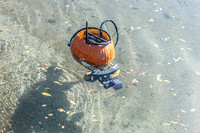 Pumpkin Boat-96.jpg