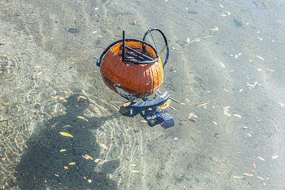 Pumpkin Boat-96.jpg