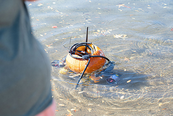 Pumpkin Boat-100.jpg