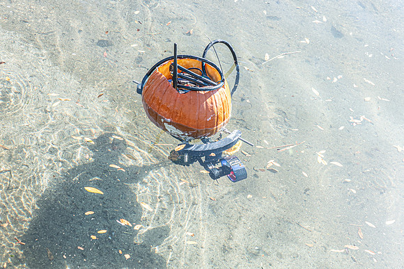 Pumpkin Boat-96.jpg