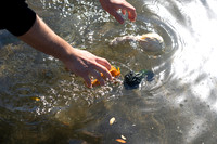 Pumpkin Boat-16.jpg