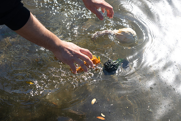 Pumpkin Boat-16.jpg