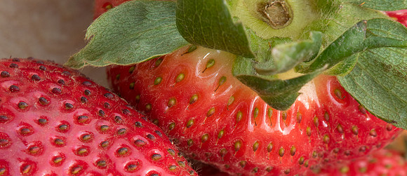 Art Bender produce-66
