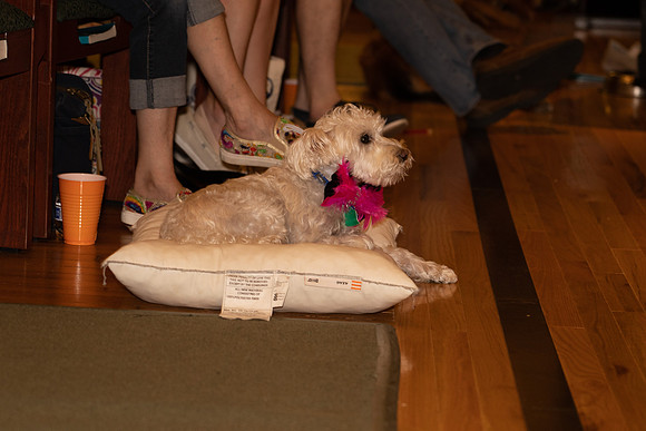 Stearns HELLO DOLLY-78.jpg