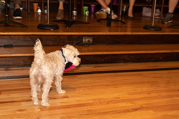 Stearns HELLO DOLLY-277.jpg