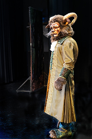 Beauty and the Beast SOPAC-28-Edit.jpg