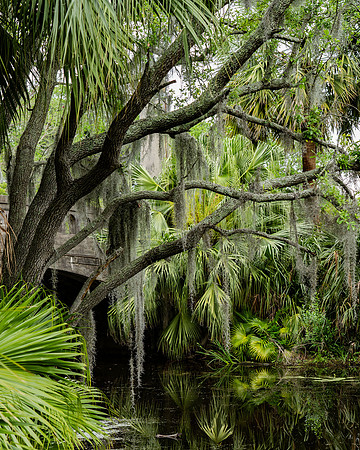 New Orleans-20.jpg